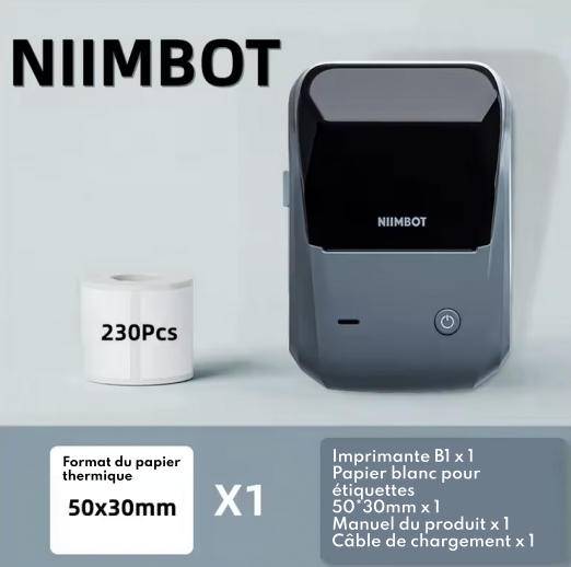 Niimbot-Imprimante d'étiquettes portable B1 en anglais